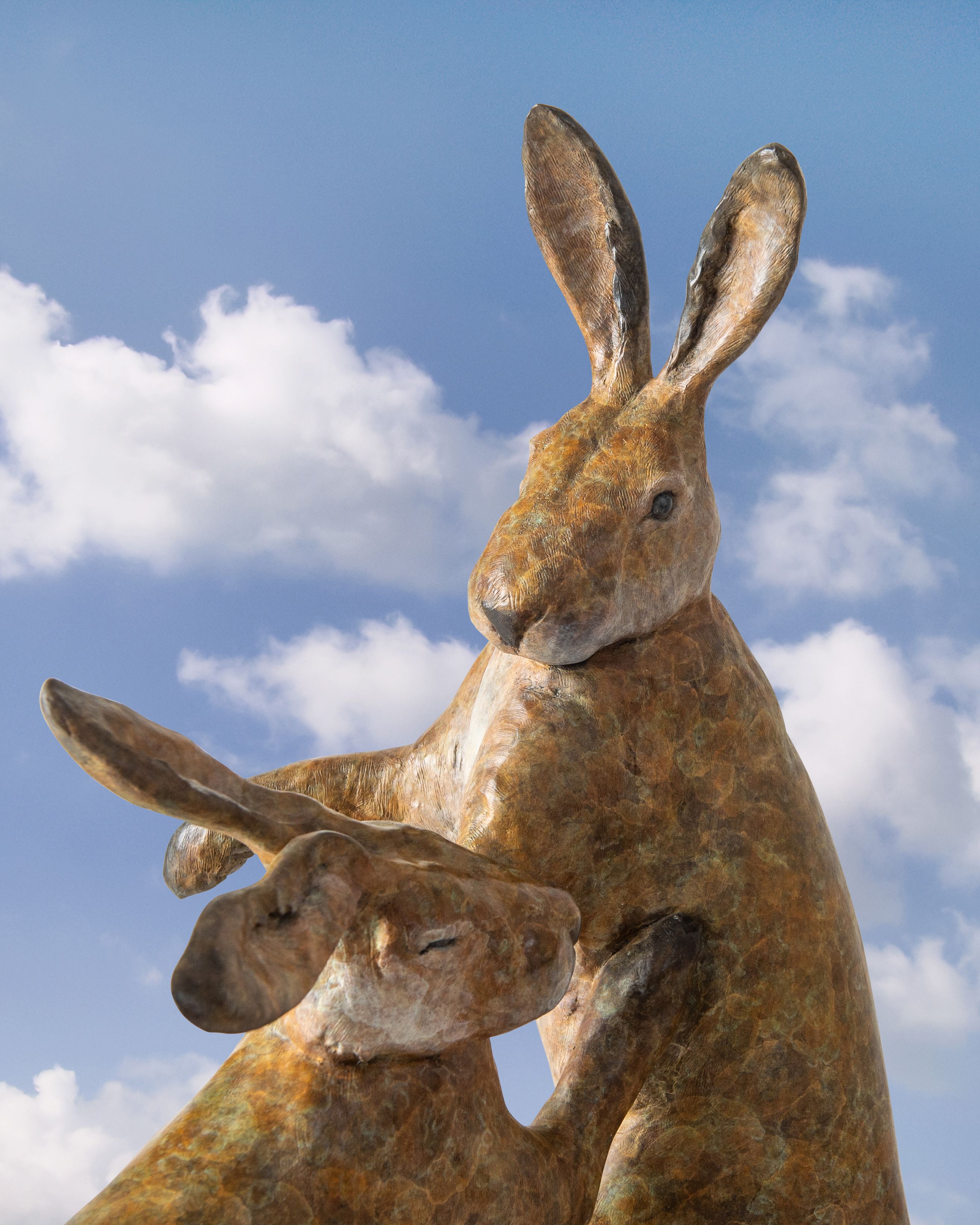'Boxing Hares' - Tobias Martin
